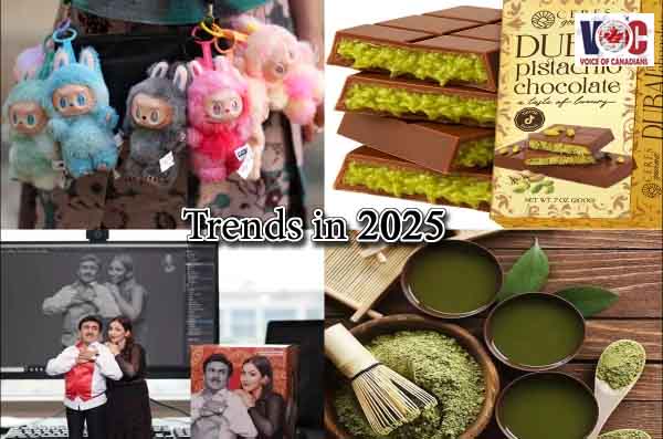 2025 کے وائرل ترین ٹرینڈز کیا رہے؟