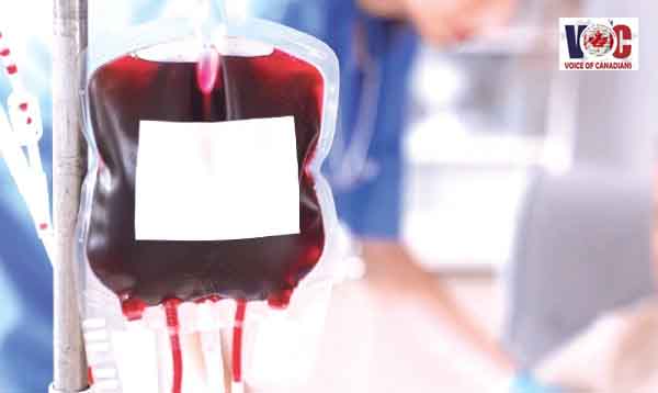 ایس آئی ایف سی کے تعاون سے قومی بلڈ ٹرانسفیوژن پالیسی کے نفاذ کا تاریخی اقدام