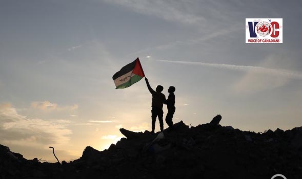 غزہ پر بڑھتے مظالم