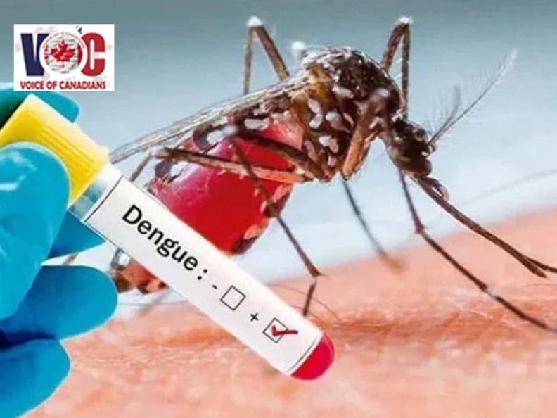 پشاور: موسم تبدیل ہوتے ہی ڈینگی مچھر کے وار شروع 
