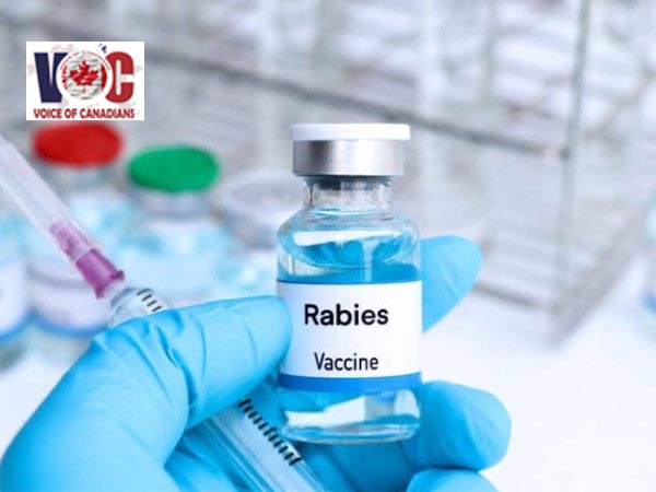 سندھ میں رواں سال 9 ماہ کے دوران ریبیز سے 35 افراد جاں بحق